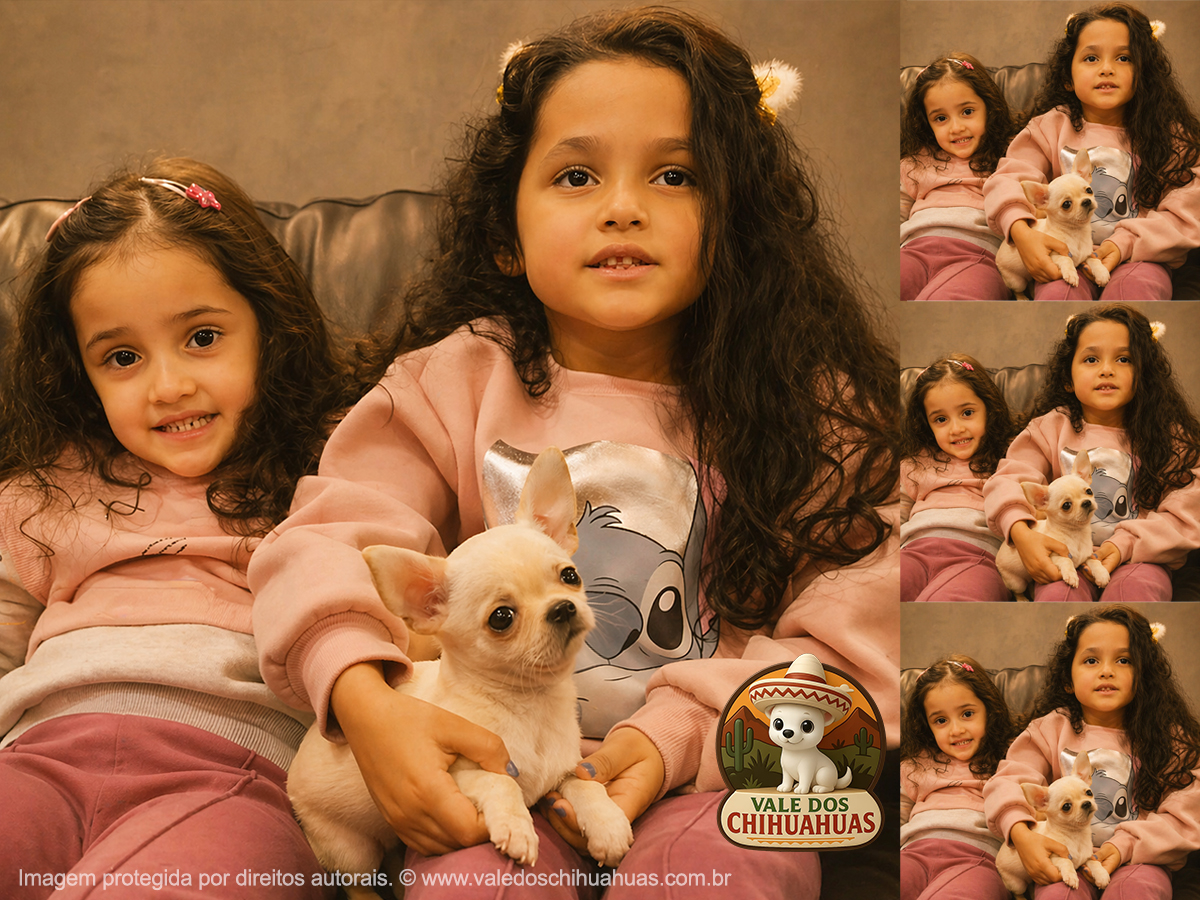 Cliente Vale dos Chihuahuas
