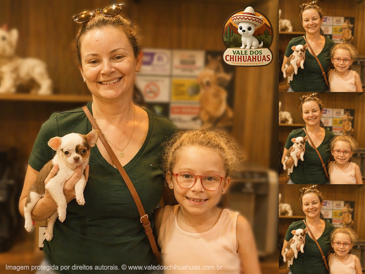 Cliente Vale dos Chihuahuas