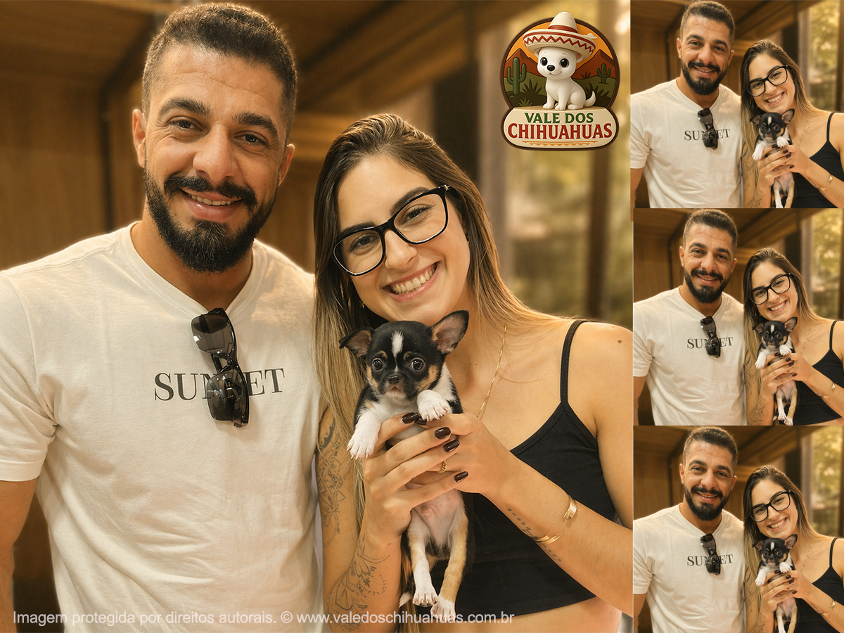 Cliente Vale dos Chihuahuas