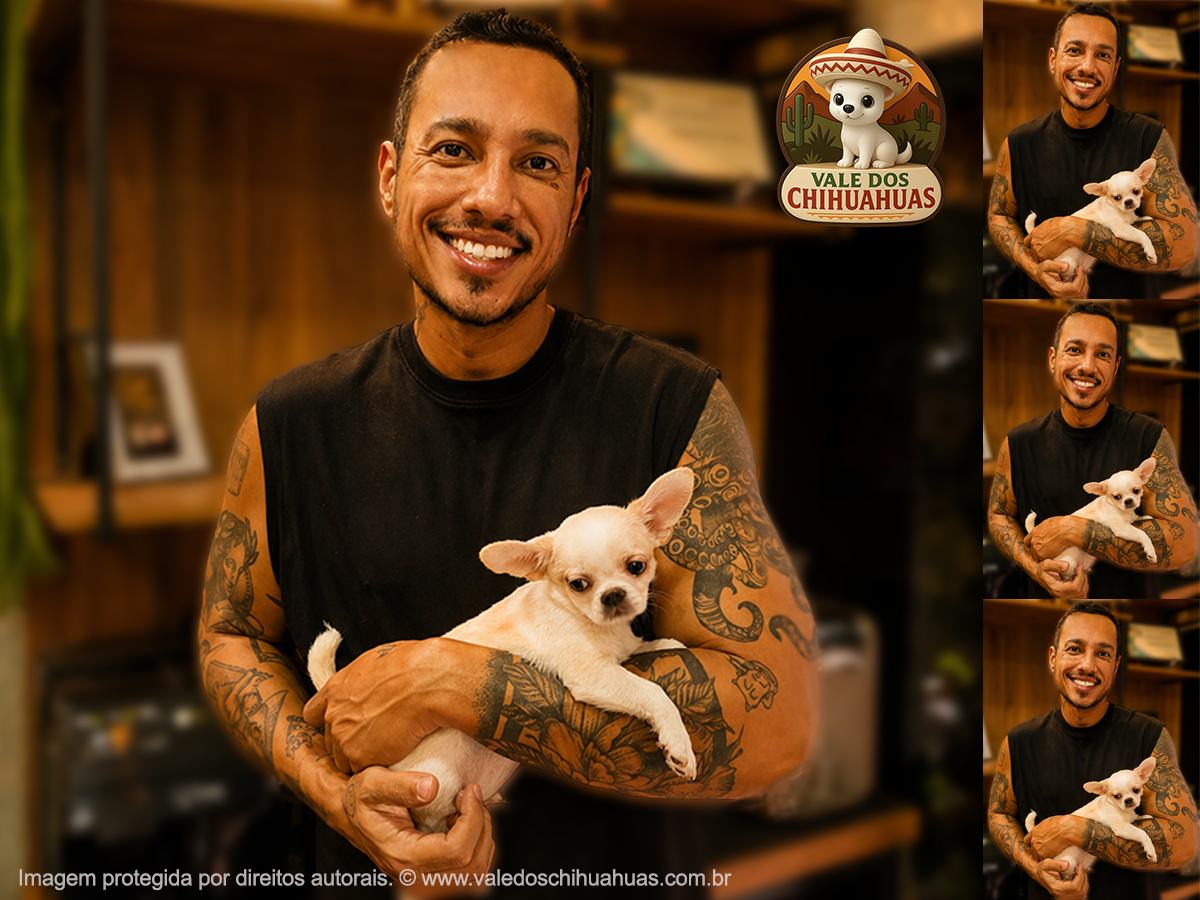 Cliente Vale dos Chihuahuas