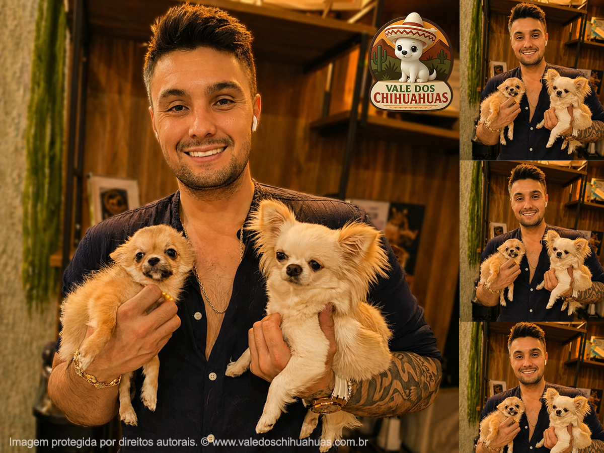 Vale dos Chihuahuas Client