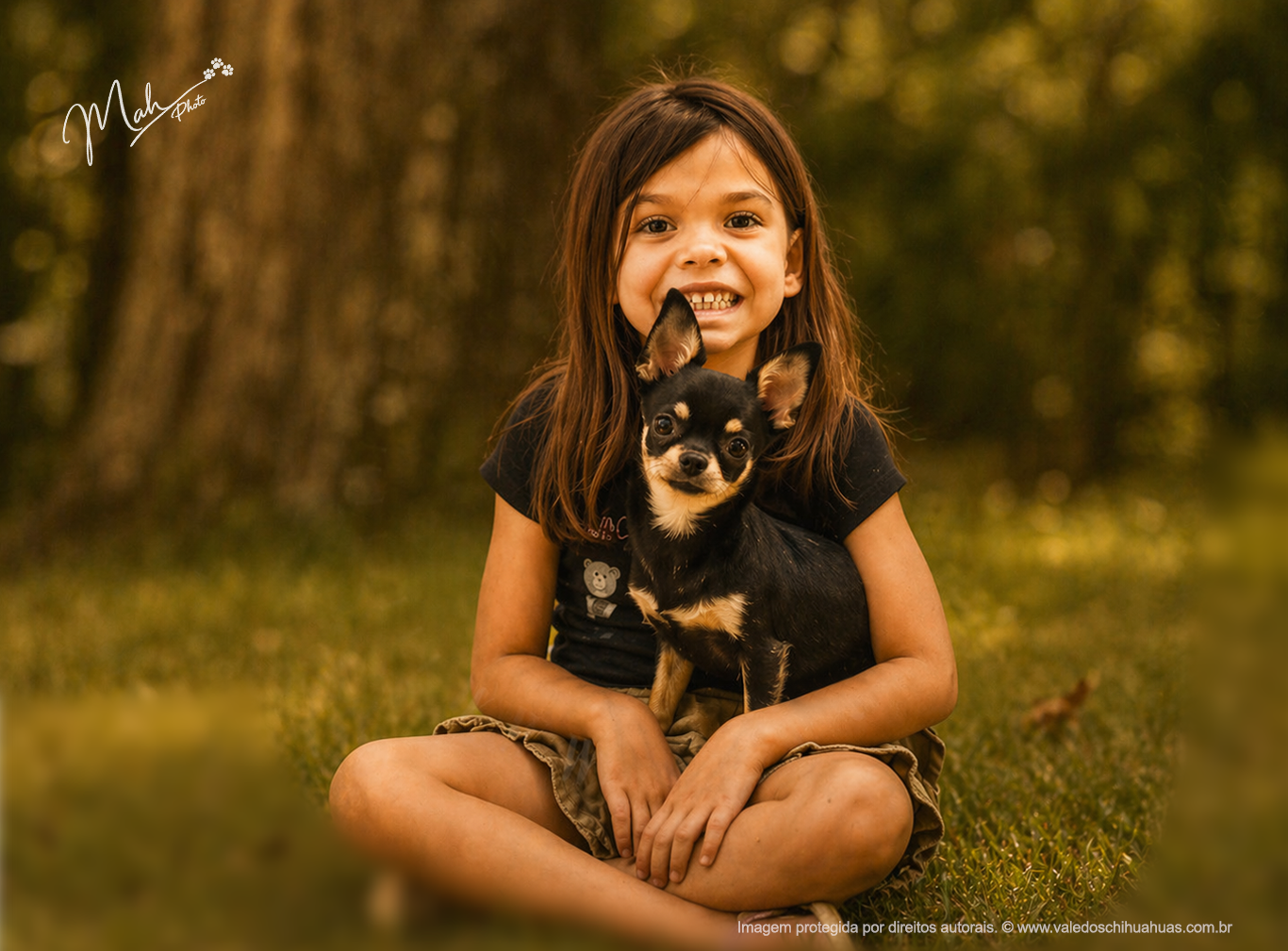 Vale dos Chihuahuas