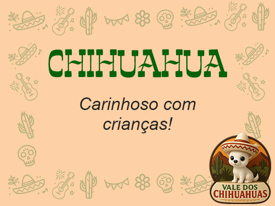 Pelo Curto 8